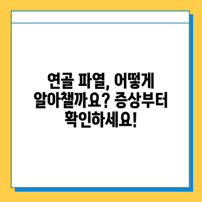 연골 파열, 심각성을 외면하지 마세요 | 증상, 치료, 예방까지 완벽 가이드