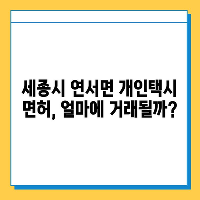 세종시 연서면 개인택시 면허 매매| 오늘 시세, 넘버값, 자격조건, 월수입, 양수교육 | 상세 가이드