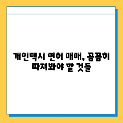 세종시 연서면 개인택시 면허 매매| 오늘 시세, 넘버값, 자격조건, 월수입, 양수교육 | 상세 가이드