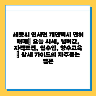 세종시 연서면 개인택시 면허 매매| 오늘 시세, 넘버값, 자격조건, 월수입, 양수교육 | 상세 가이드