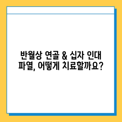 반월상 연골 파열 & 십자 인대 파열, 효과적인 치료법 알아보기 | 재활, 수술, 운동, 전문의