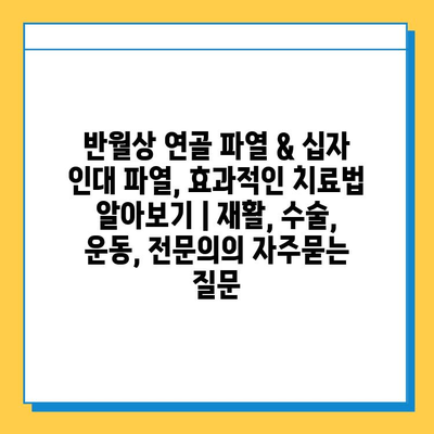 반월상 연골 파열 & 십자 인대 파열, 효과적인 치료법 알아보기 | 재활, 수술, 운동, 전문의