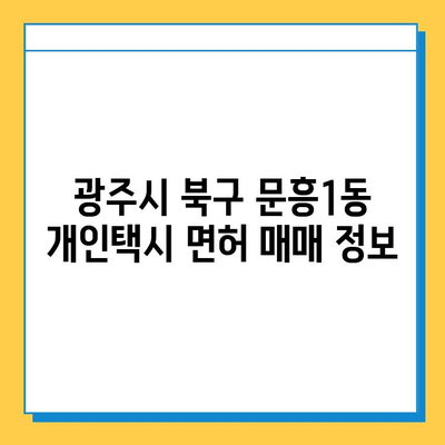 광주시 북구 문흥1동 개인택시 면허 매매 가격| 오늘 시세 & 자격조건 | 넘버값, 월수입, 양수교육