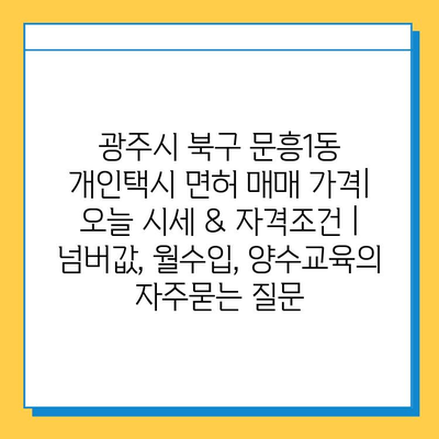 광주시 북구 문흥1동 개인택시 면허 매매 가격| 오늘 시세 & 자격조건 | 넘버값, 월수입, 양수교육