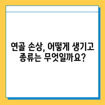 연골 손상| 종류, 증상, 치료 옵션 | 통증 완화 및 회복 가이드