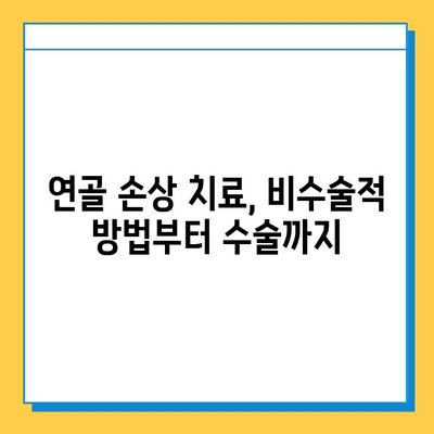 연골 손상| 종류, 증상, 치료 옵션 | 통증 완화 및 회복 가이드