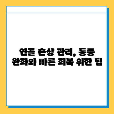 연골 손상| 종류, 증상, 치료 옵션 | 통증 완화 및 회복 가이드