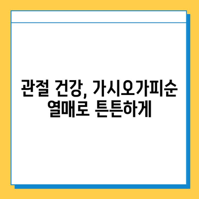 가시오가피순 열매| 연골 건강 관리의 핵심 | 관절 건강, 연골 보호, 가시오가피 효능