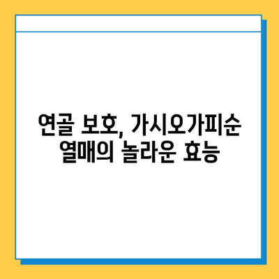 가시오가피순 열매| 연골 건강 관리의 핵심 | 관절 건강, 연골 보호, 가시오가피 효능