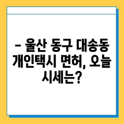 울산 동구 대송동 개인택시 면허 매매 가격 (번호판, 넘버값) 오늘 시세 확인 | 자격조건, 월수입, 양수교육