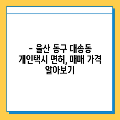 울산 동구 대송동 개인택시 면허 매매 가격 (번호판, 넘버값) 오늘 시세 확인 | 자격조건, 월수입, 양수교육