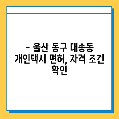 울산 동구 대송동 개인택시 면허 매매 가격 (번호판, 넘버값) 오늘 시세 확인 | 자격조건, 월수입, 양수교육