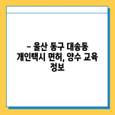 울산 동구 대송동 개인택시 면허 매매 가격 (번호판, 넘버값) 오늘 시세 확인 | 자격조건, 월수입, 양수교육