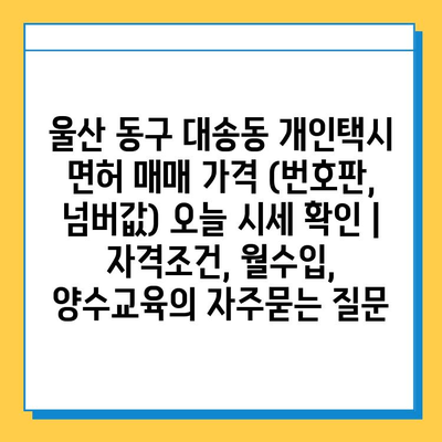 울산 동구 대송동 개인택시 면허 매매 가격 (번호판, 넘버값) 오늘 시세 확인 | 자격조건, 월수입, 양수교육