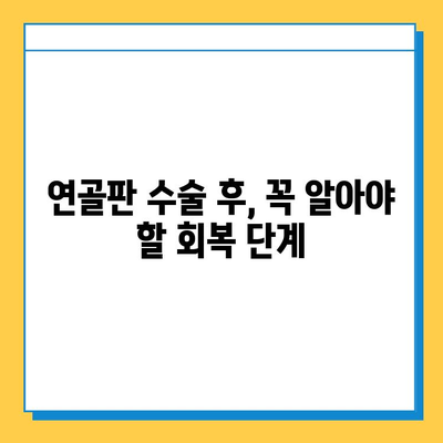 연골판 손상 수술 후 완벽한 회복을 위한 관리 및 재활 가이드 | 연골판, 수술, 재활, 운동, 관리