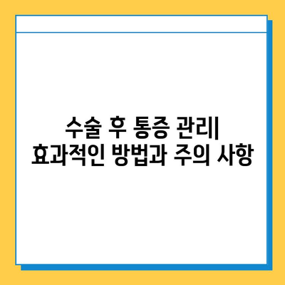 연골판 손상 수술 후 완벽한 회복을 위한 관리 및 재활 가이드 | 연골판, 수술, 재활, 운동, 관리