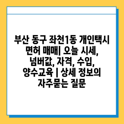 부산 동구 좌천1동 개인택시 면허 매매| 오늘 시세, 넘버값, 자격, 수입, 양수교육 | 상세 정보