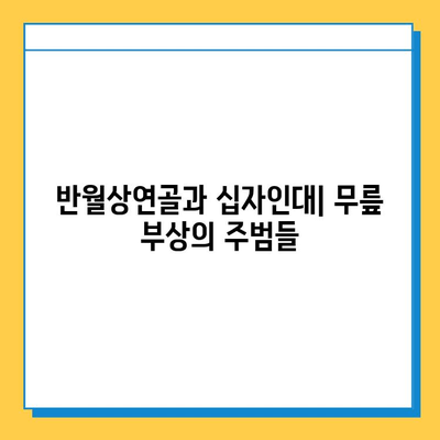 반월상연골파열 vs 십자인대 파열| 치료법 비교 분석 | 무릎 부상, 재활, 운동, 수술