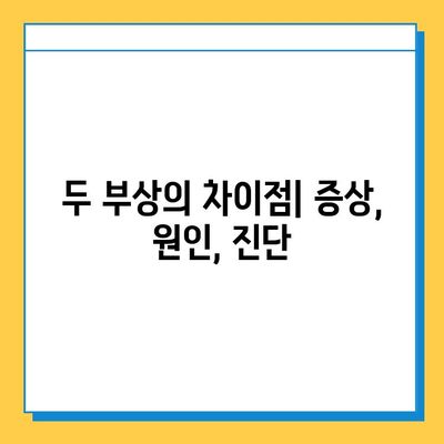 반월상연골파열 vs 십자인대 파열| 치료법 비교 분석 | 무릎 부상, 재활, 운동, 수술