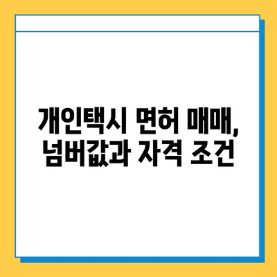 대구 남구 대명11동 개인택시 면허 매매| 오늘 시세, 넘버값, 자격조건, 월수입, 양수교육 | 상세 가이드