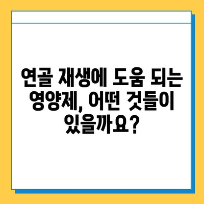 관절 연골 건강, 영양제로 지키세요| 선택 가이드 & 효과 확인 | 관절 통증, 연골 재생, 영양제 추천, 건강 관리