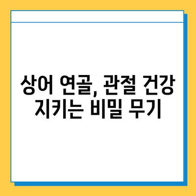 상어 연골| 관절 건강을 위한 효과적인 선택 | 관절염, 연골 재생, 건강 기능성 식품