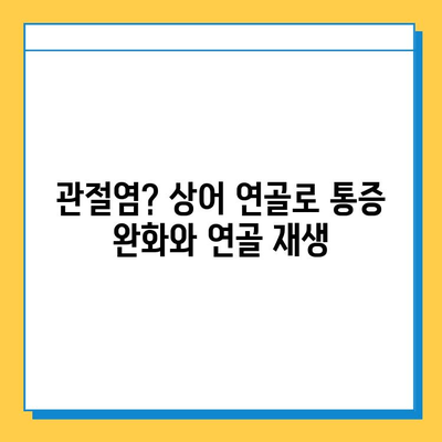 상어 연골| 관절 건강을 위한 효과적인 선택 | 관절염, 연골 재생, 건강 기능성 식품