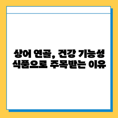 상어 연골| 관절 건강을 위한 효과적인 선택 | 관절염, 연골 재생, 건강 기능성 식품