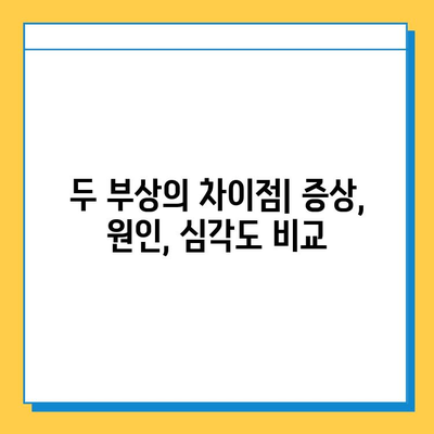 반월상 연골 파열 vs 십자인대 파열| 어떤 차이가 있을까요? | 무릎 부상, 치료법, 재활