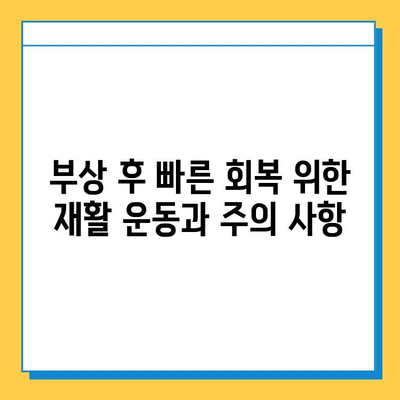 반월상 연골 파열 vs 십자인대 파열| 어떤 차이가 있을까요? | 무릎 부상, 치료법, 재활