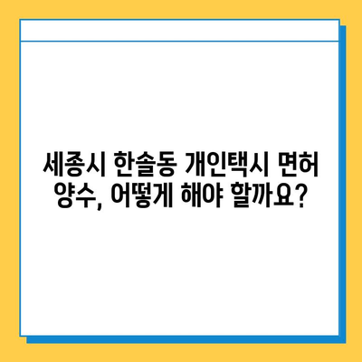 세종시 한솔동 개인택시 면허 매매 | 오늘 시세, 넘버값, 자격조건, 월수입, 양수교육 | 상세 정보