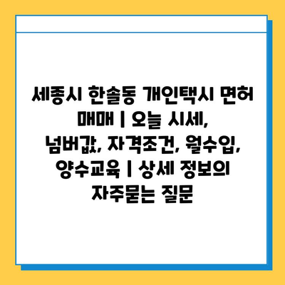 세종시 한솔동 개인택시 면허 매매 | 오늘 시세, 넘버값, 자격조건, 월수입, 양수교육 | 상세 정보