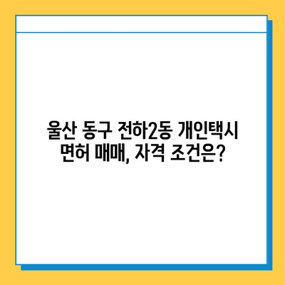 울산 동구 전하2동 개인택시 면허 매매 가격 | 오늘 시세, 넘버값, 자격조건, 월수입, 양수교육 | 상세 정보