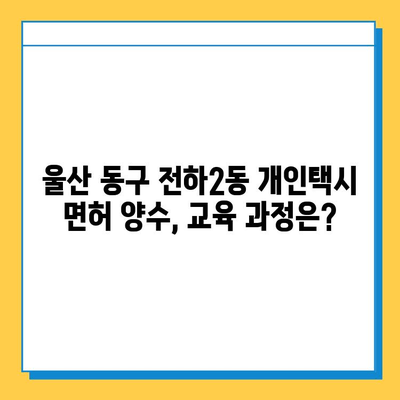 울산 동구 전하2동 개인택시 면허 매매 가격 | 오늘 시세, 넘버값, 자격조건, 월수입, 양수교육 | 상세 정보