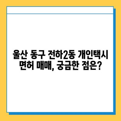 울산 동구 전하2동 개인택시 면허 매매 가격 | 오늘 시세, 넘버값, 자격조건, 월수입, 양수교육 | 상세 정보