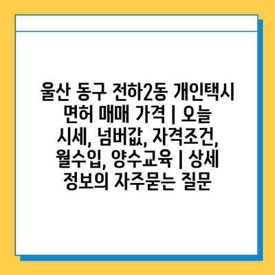 울산 동구 전하2동 개인택시 면허 매매 가격 | 오늘 시세, 넘버값, 자격조건, 월수입, 양수교육 | 상세 정보