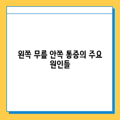 왼쪽 무릎 안쪽 통증| 원인 분석과 연골 관리 가이드 | 무릎 통증, 연골 손상, 운동법, 치료법