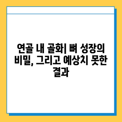 연골 내 골화의 숨은 위험| 미래 합병증 이해하기 | 연골 내 골화, 골화, 합병증, 건강