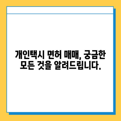 세종시 대평동 개인택시 면허 매매 가격| 오늘 시세 & 자격조건 & 월수입 | 넘버값, 양수교육, 면허 매매 가이드