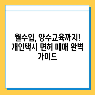 세종시 대평동 개인택시 면허 매매 가격| 오늘 시세 & 자격조건 & 월수입 | 넘버값, 양수교육, 면허 매매 가이드