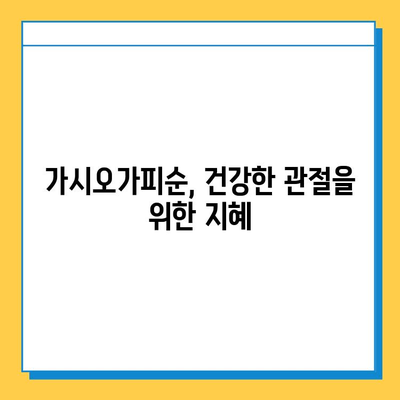 가시오가피순 열매 효능과 연골 건강 관리| 5가지 핵심 정보 | 가시오가피순, 연골, 관절 건강, 효능, 관리법