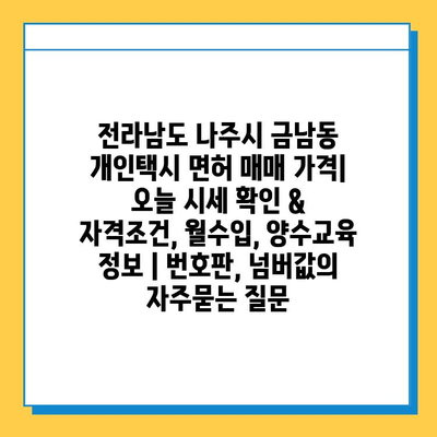 전라남도 나주시 금남동 개인택시 면허 매매 가격| 오늘 시세 확인 & 자격조건, 월수입, 양수교육 정보 | 번호판, 넘버값