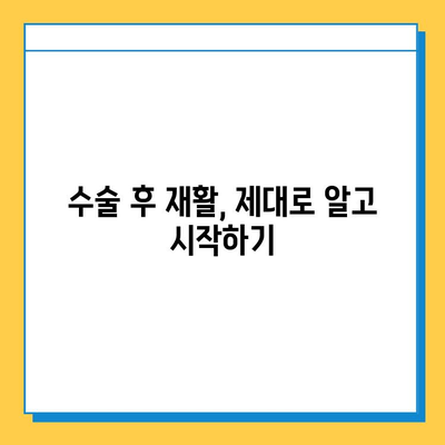 반월상연골파열, 회복의 길을 걷다| 수술부터 재활까지 완벽 가이드 | 운동, 재활, 치료, 회복