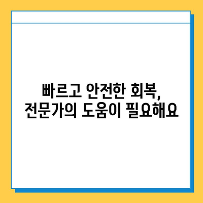 반월상연골파열, 회복의 길을 걷다| 수술부터 재활까지 완벽 가이드 | 운동, 재활, 치료, 회복