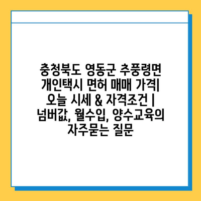 충청북도 영동군 추풍령면 개인택시 면허 매매 가격| 오늘 시세 & 자격조건 | 넘버값, 월수입, 양수교육