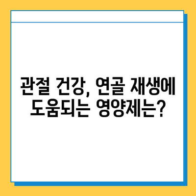 연골 건강 지키는 효과 좋은 영양제 추천 | 관절 건강, 연골 재생, 부작용, 비교 분석