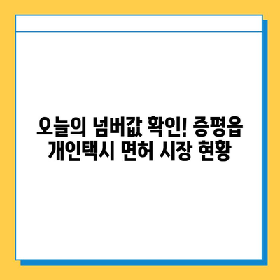 충청북도 증평군 증평읍 개인택시 면허 시세 & 매매 가격| 오늘의 넘버값, 자격조건, 월수입, 양수교육 | 핵심 정보 총정리