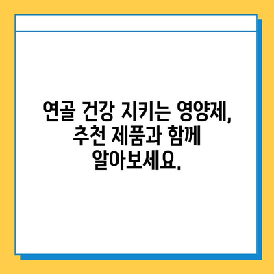 연골 건강 지키는 효과 좋은 영양제 추천 | 관절 건강, 연골 재생, 부작용, 비교 분석