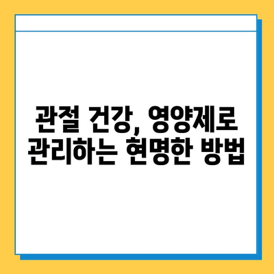 무릎 연골 건강 지키는 영양제| 관절 통증 완화를 위한 최적의 성분 탐구 | 관절 통증, 무릎 연골, 영양제, 건강