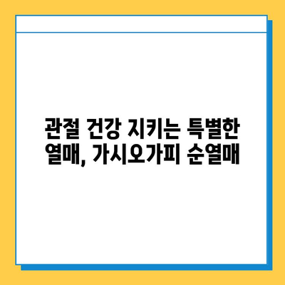 가시오가피 순열매, 연골 건강 지키는 특별한 비밀 | 관절 건강, 연골 관리, 가시오가피 효능